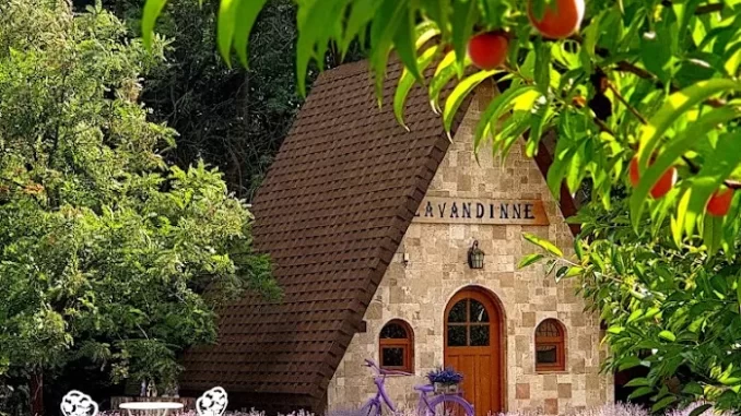 casuta-lavandine-jpg